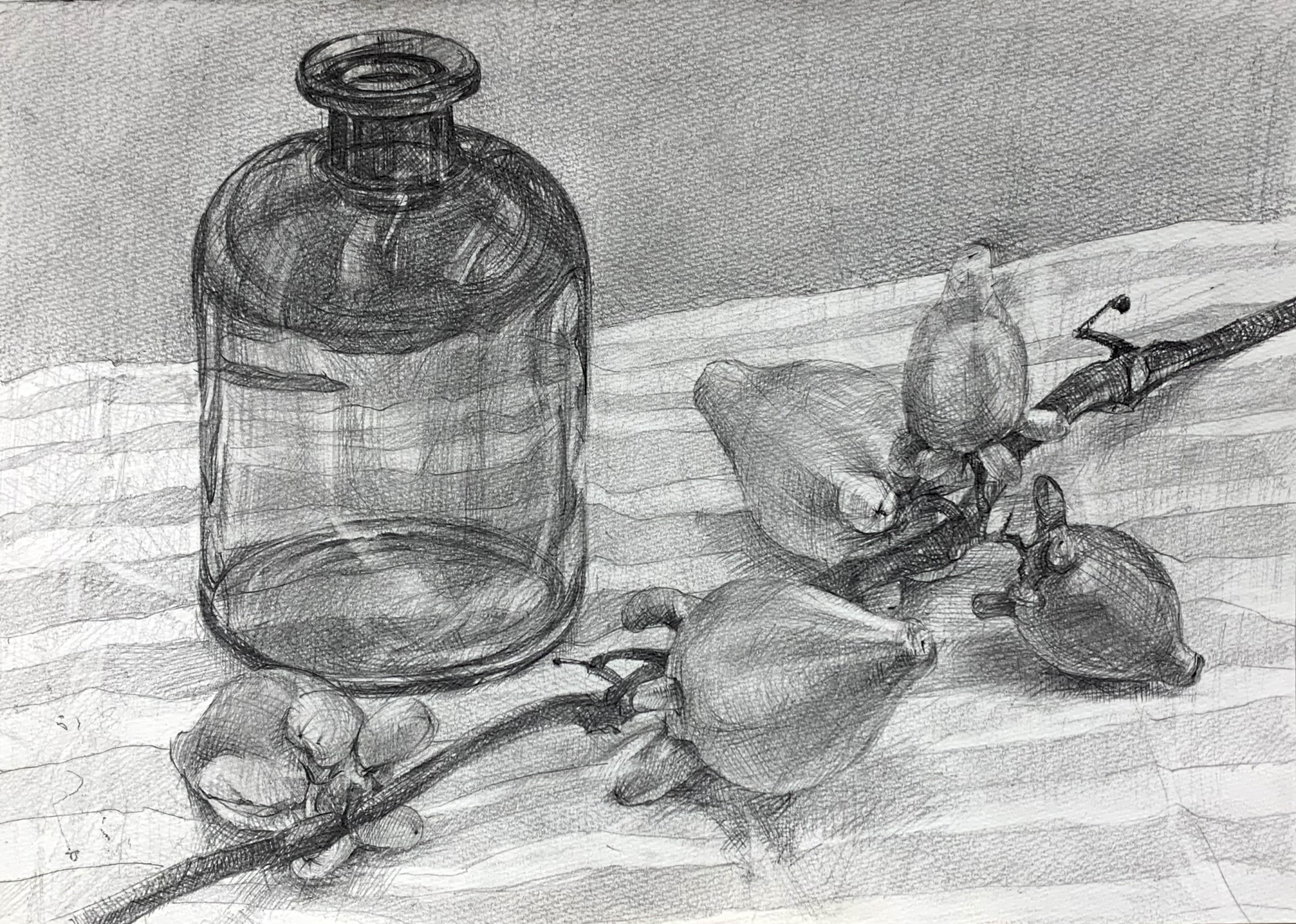 色鉛筆や水彩をデッサンから練習！甲子園口の絵画教室